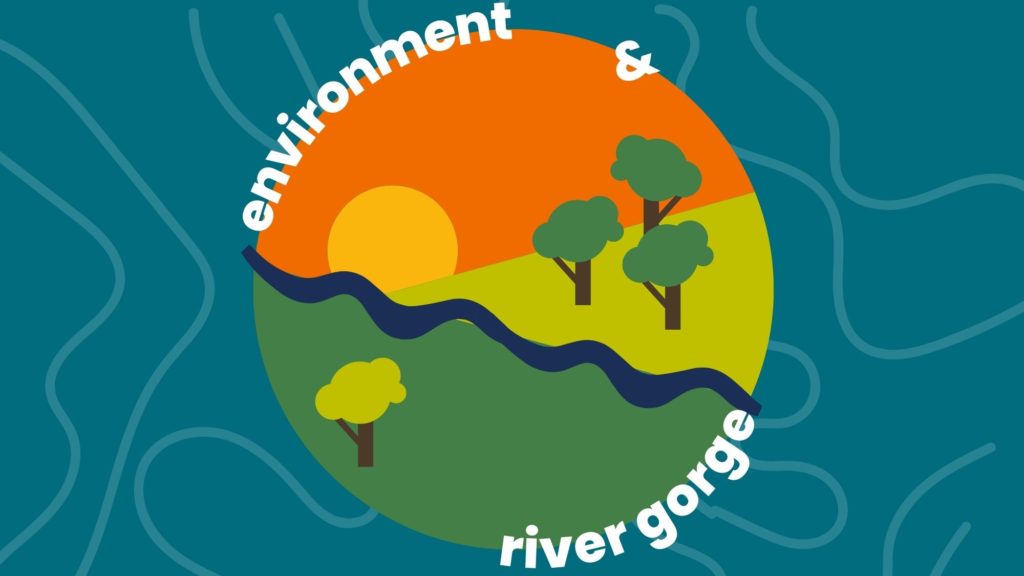 environment and river gorge