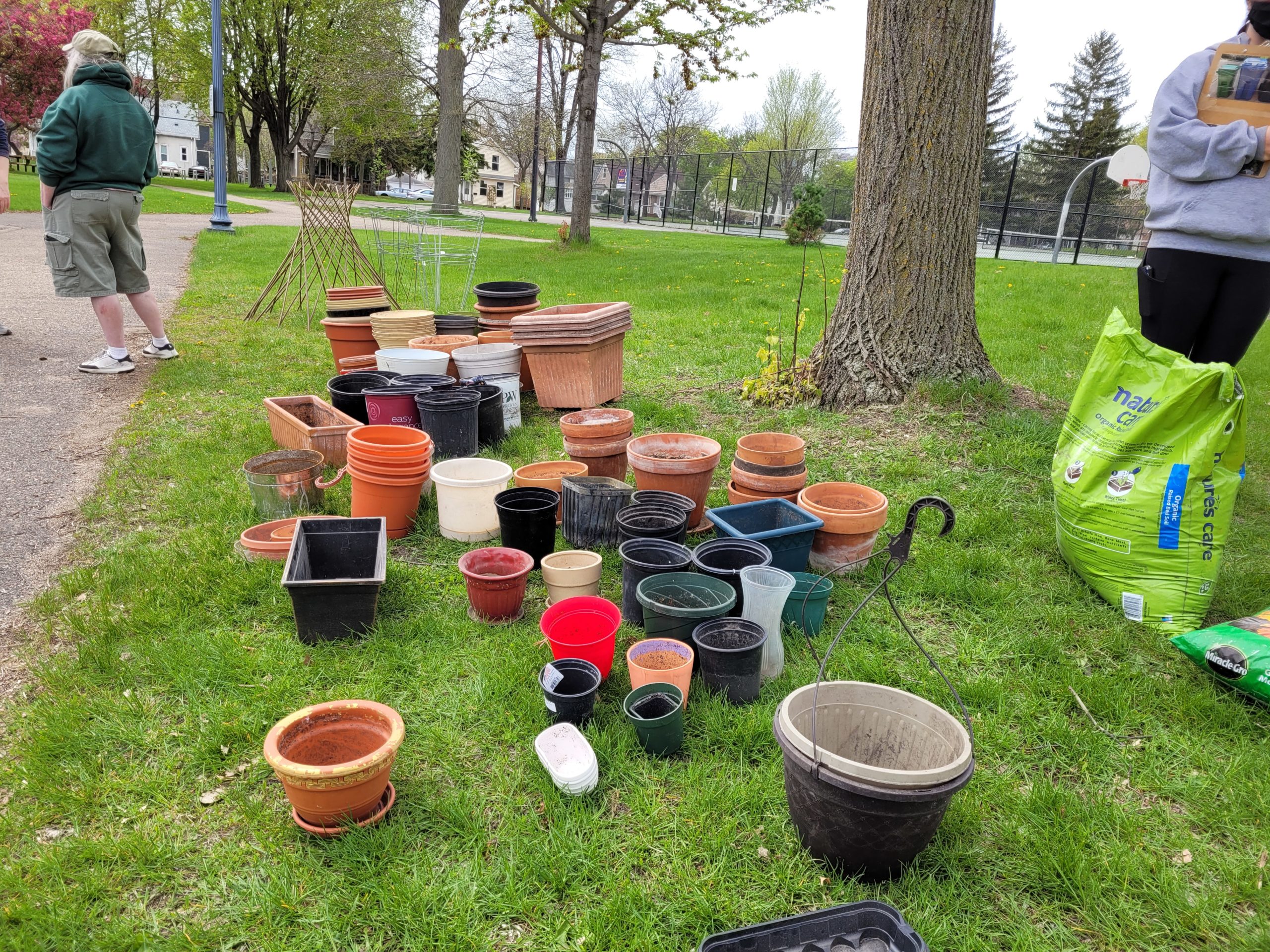 garden pots laying on grass by a tree